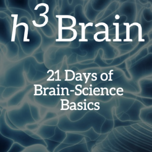 e-Program - Everything You Need to Know About Your Brain